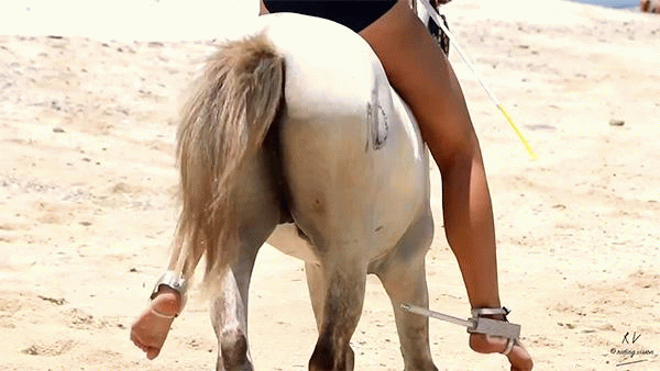 NEW 💯 March 2024! 🌶️ Riding Women 2016-2025 Best Of Compilation, 75min