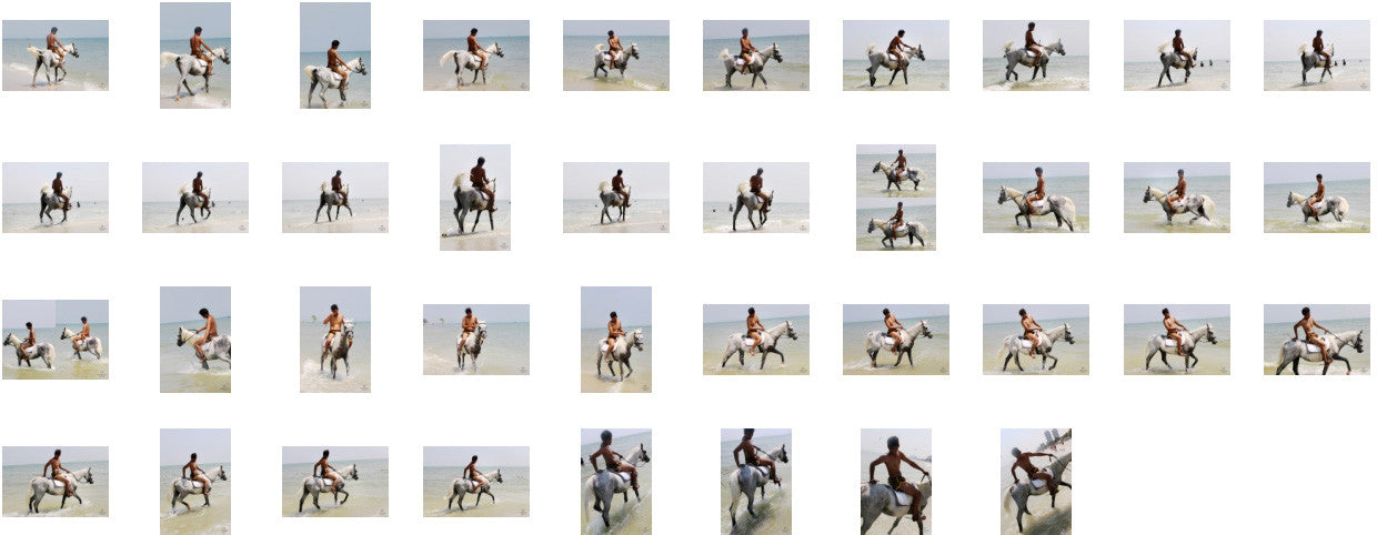 Leon in Brown Sprinter Shorts Riding with Saddle on White Arabian, Part 7 - Riding.Vision