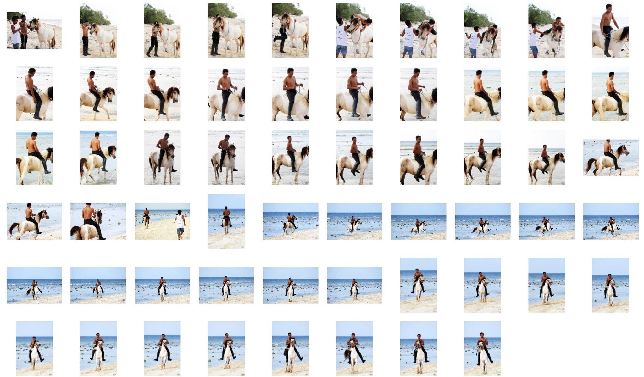 Emas in Jodhpurs and Ridingboots Riding Bareback on Buckskin Horse, Part 1 - Riding.Vision