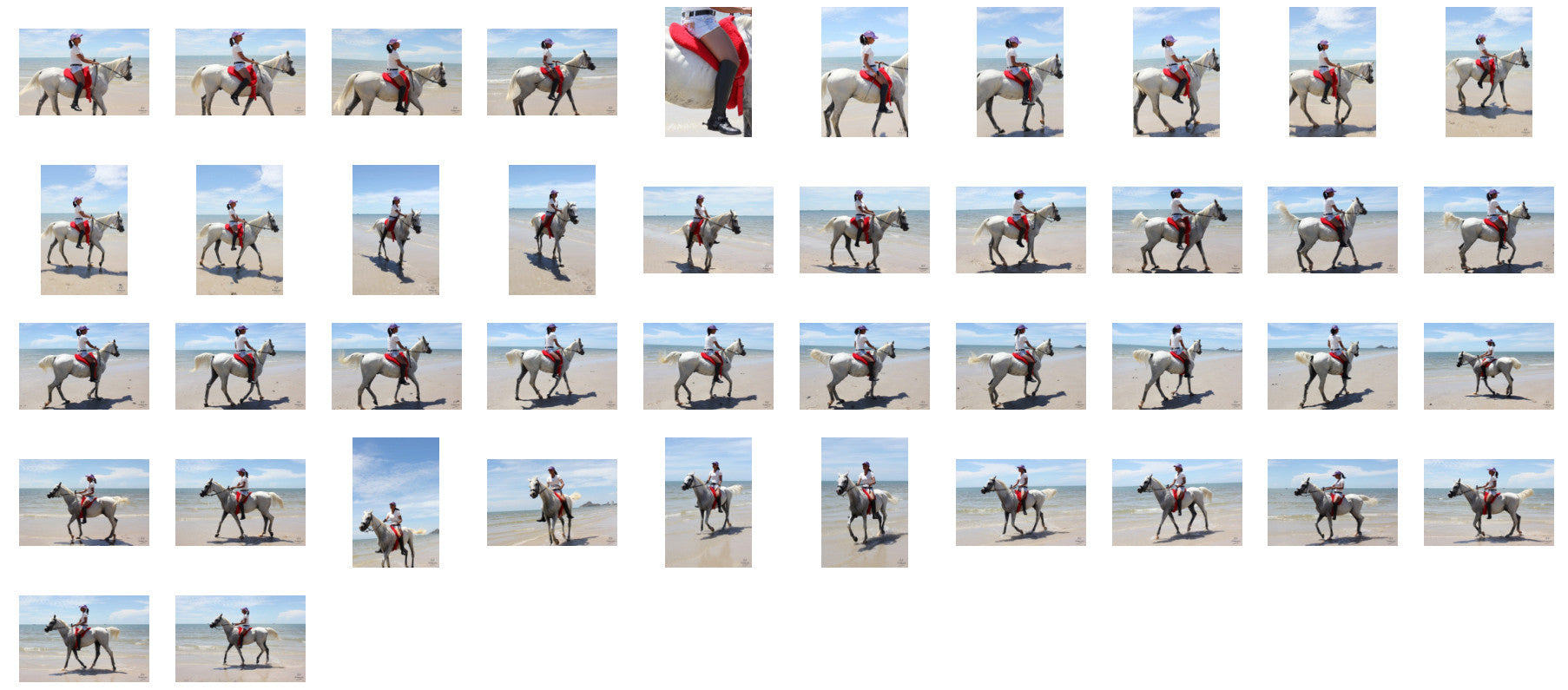 Titaporn in Hotpants and Ridingboots Riding Bareback on Arabian Horse, Part 1 - Riding.Vision