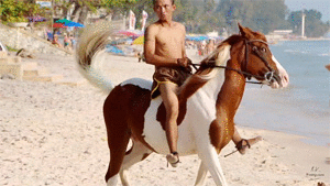 Kai, Leon and Boi Riding in Sprinters on Horses and a Pony, 15min - Riding.Vision