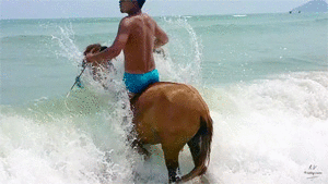 Leon and SonChai Riding with Saddle, 10min - Riding.Vision
