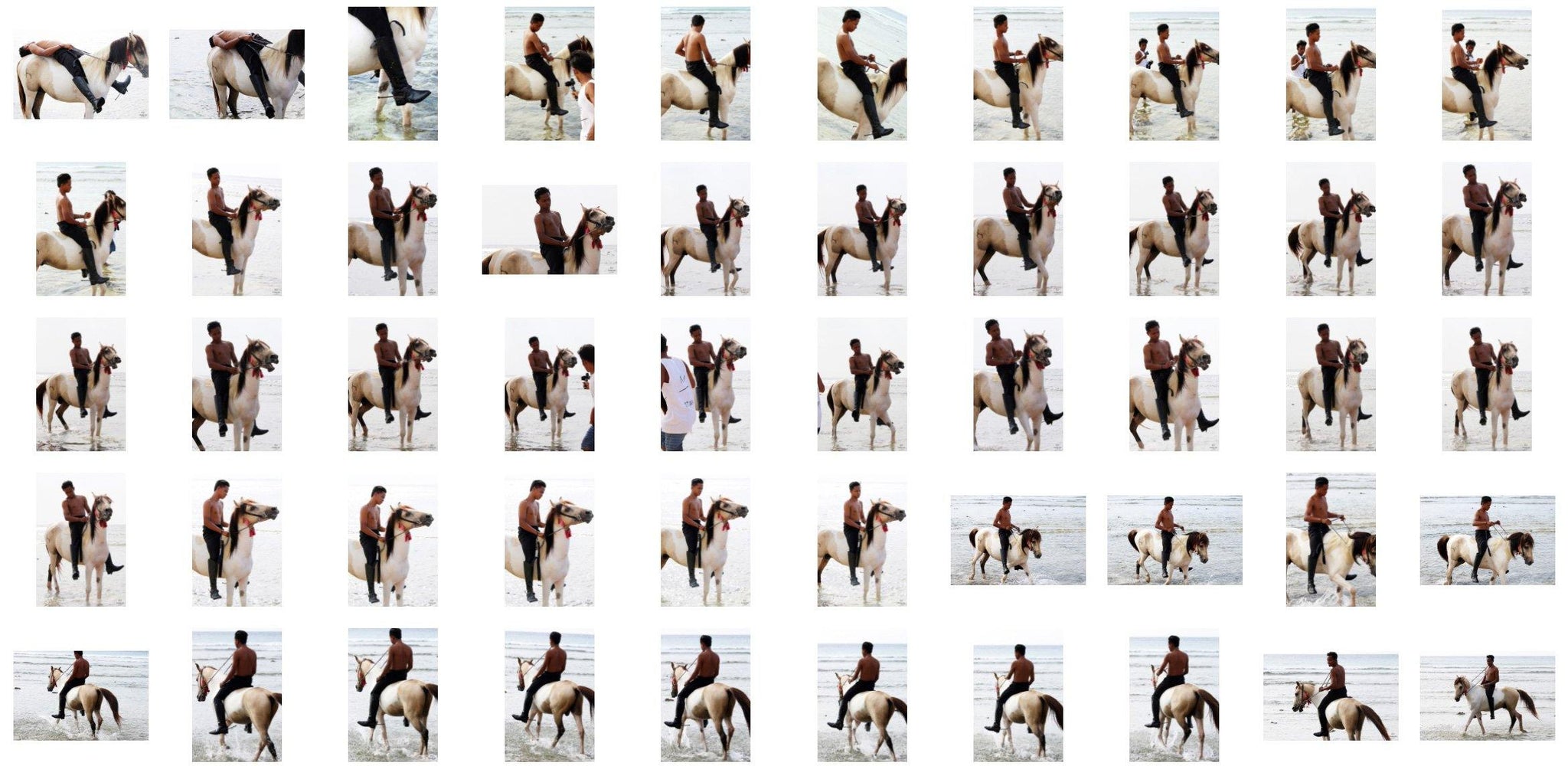 Emas in Jodhpurs and Ridingboots Riding Bareback on Buckskin Horse, Part 3 - Riding.Vision