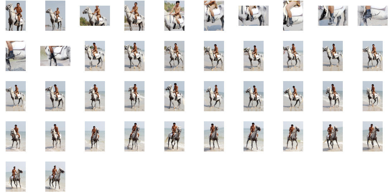 Kai in Brown Sprinter Shorts Riding with Saddle on White Arabian, Part 5 - Riding.Vision