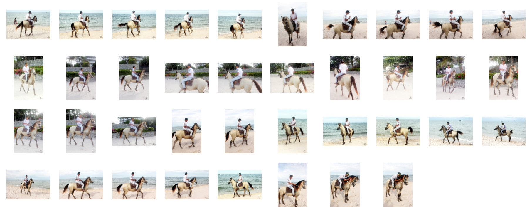 Thaksin in Jodhpurs Riding with Saddle on Buckskin Horse, Part 5 - Riding.Vision