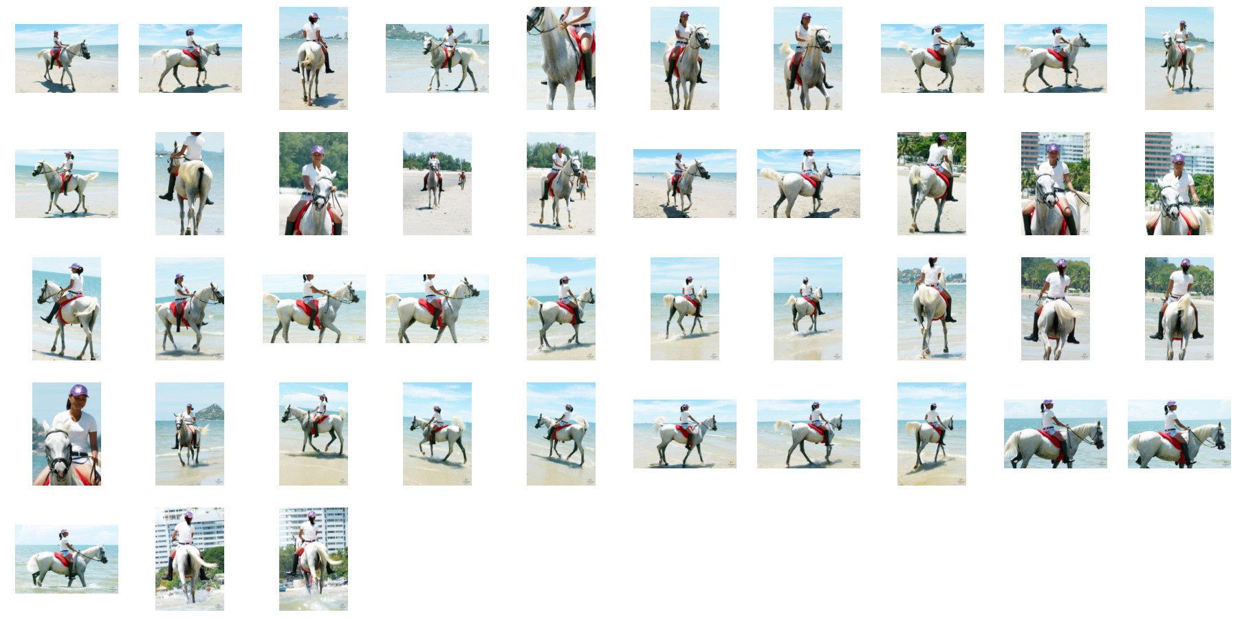 Titaporn in Hotpants and Ridingboots Riding Bareback on Arabian Horse, Part 5 - Riding.Vision