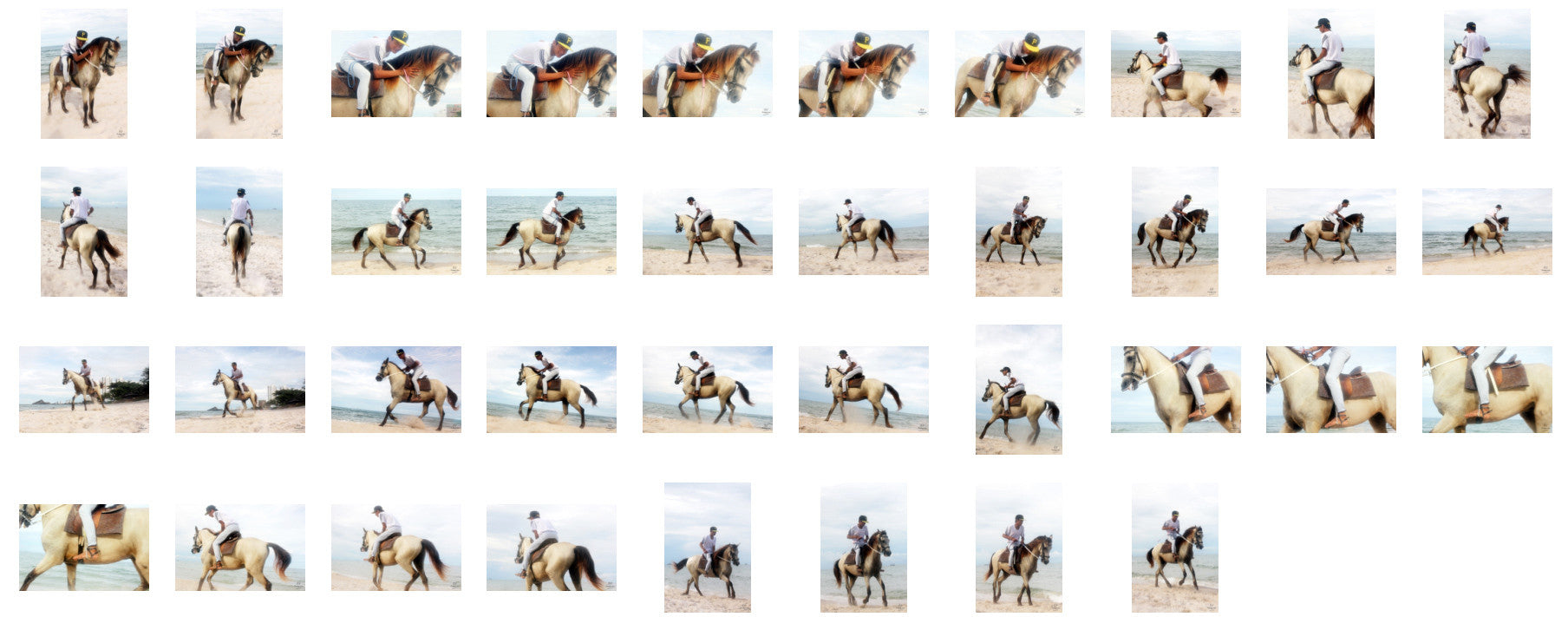 Thaksin in Jodhpurs Riding with Saddle on Buckskin Horse, Part 6 - Riding.Vision
