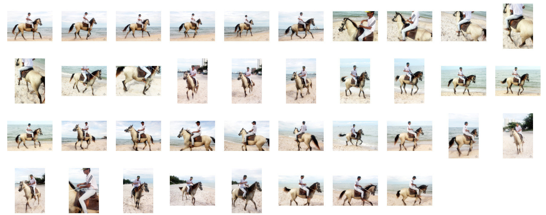 Thaksin in Jodhpurs Riding with Saddle on Buckskin Horse, Part 7 - Riding.Vision