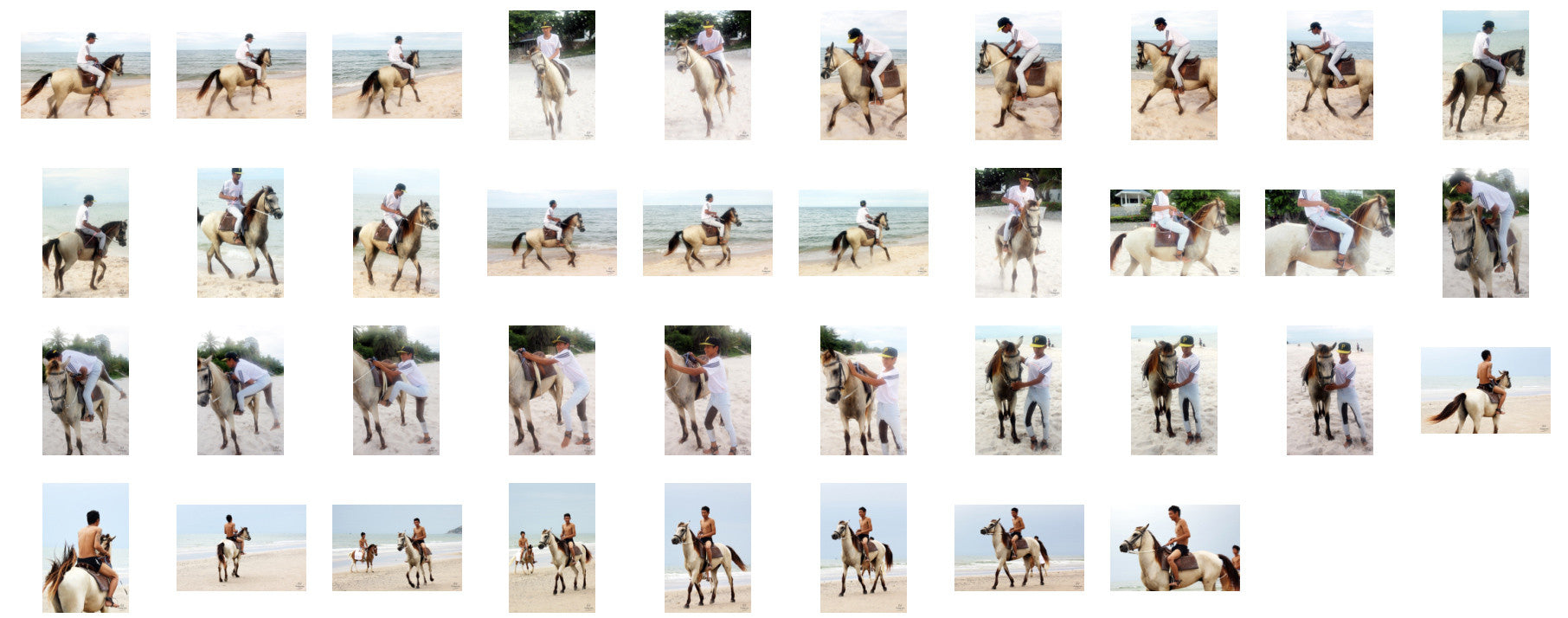 Thaksin in Jodhpurs Riding with Saddle on Buckskin Horse, Part 8 - Riding.Vision