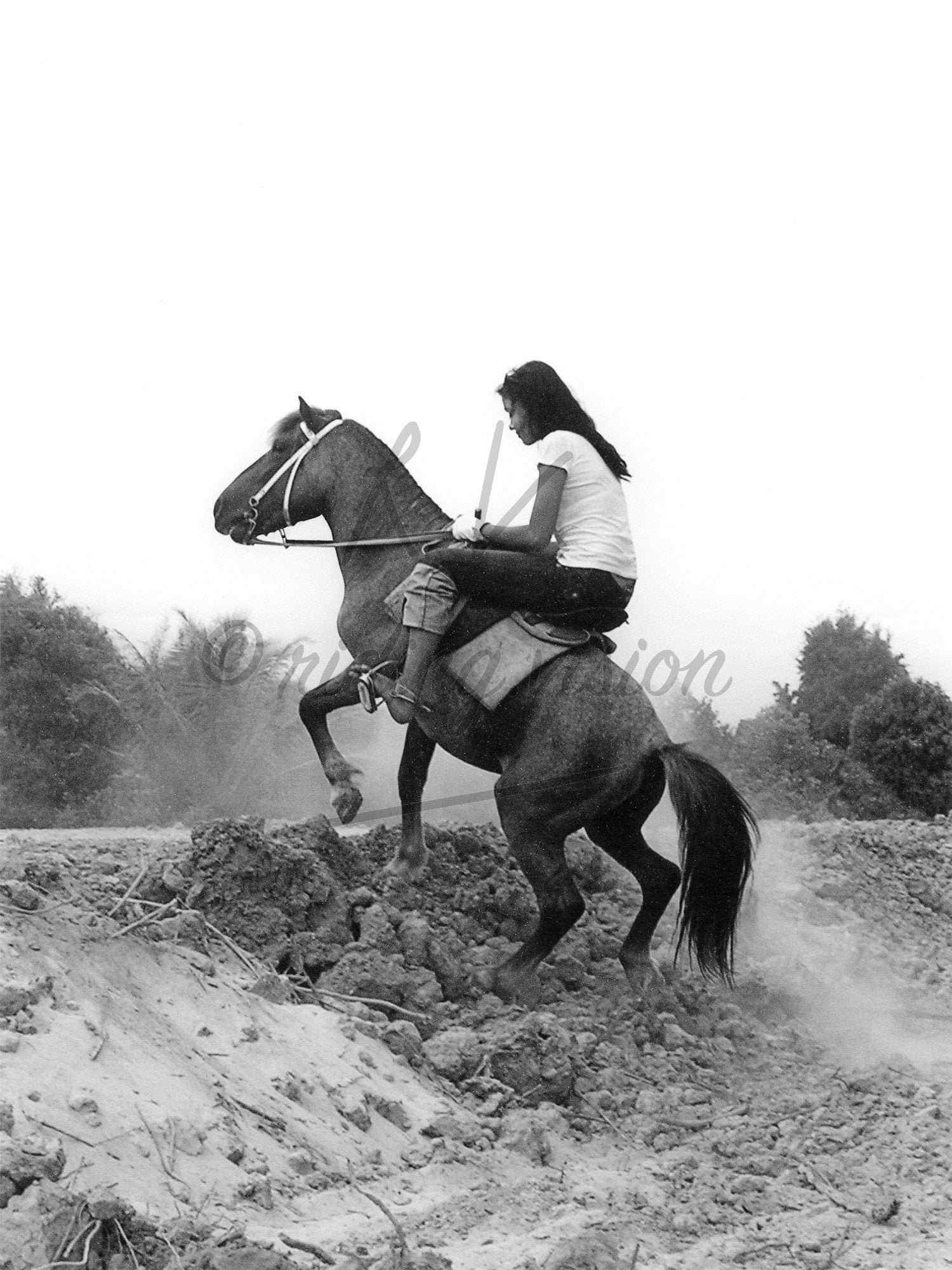Distant Riders 3 - Riding.Vision