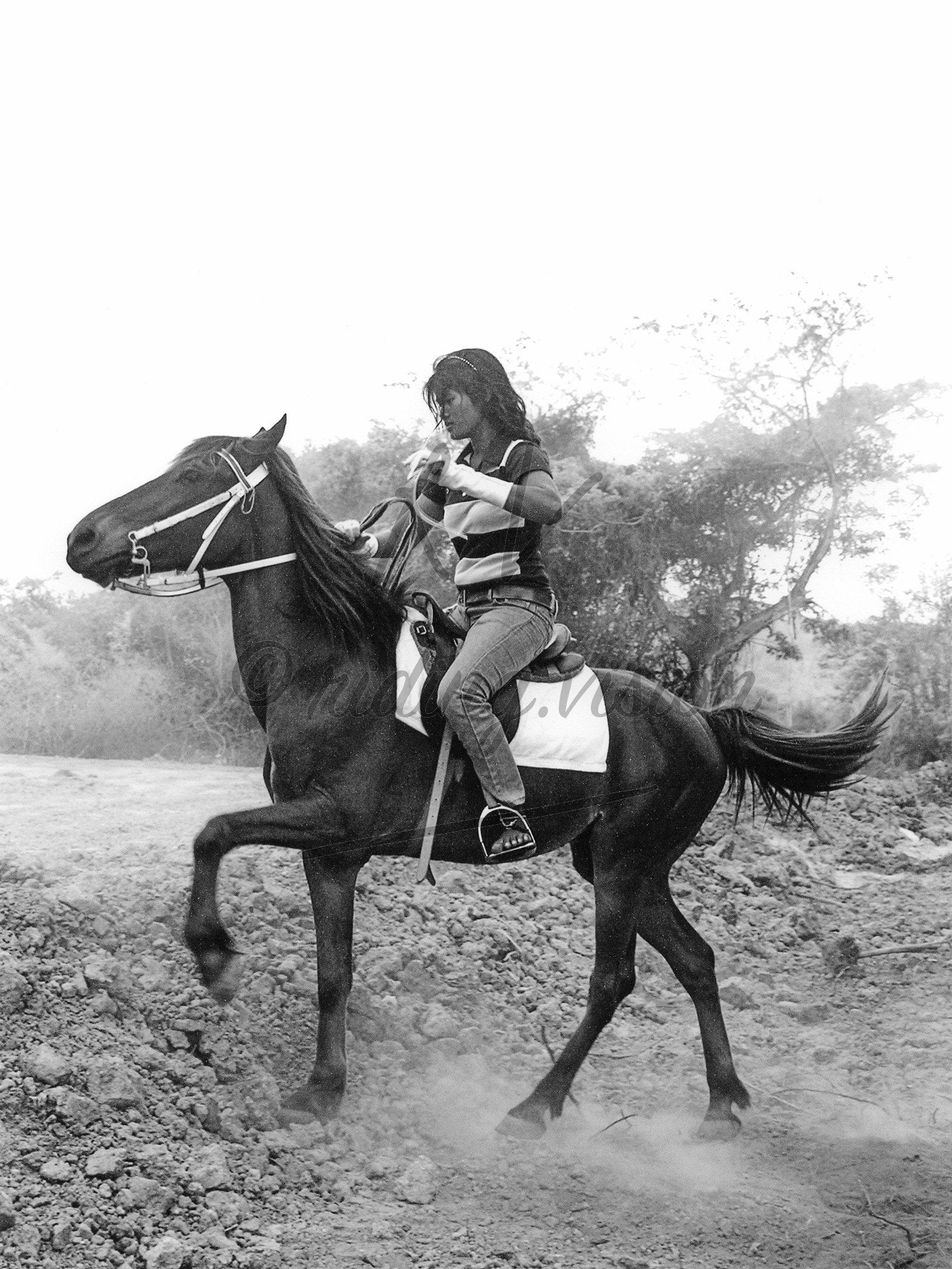 Distant Riders 4 - Riding.Vision