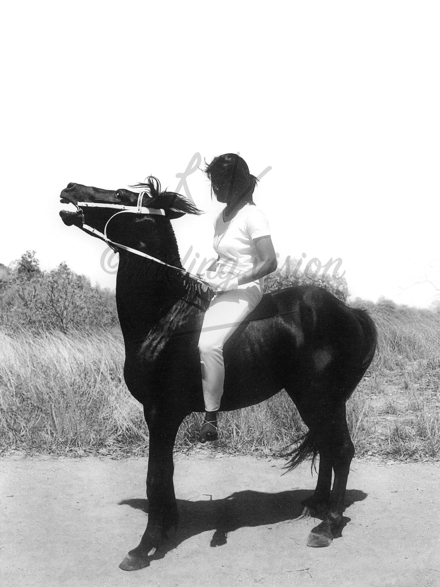 Distant Riders 8 - Riding.Vision