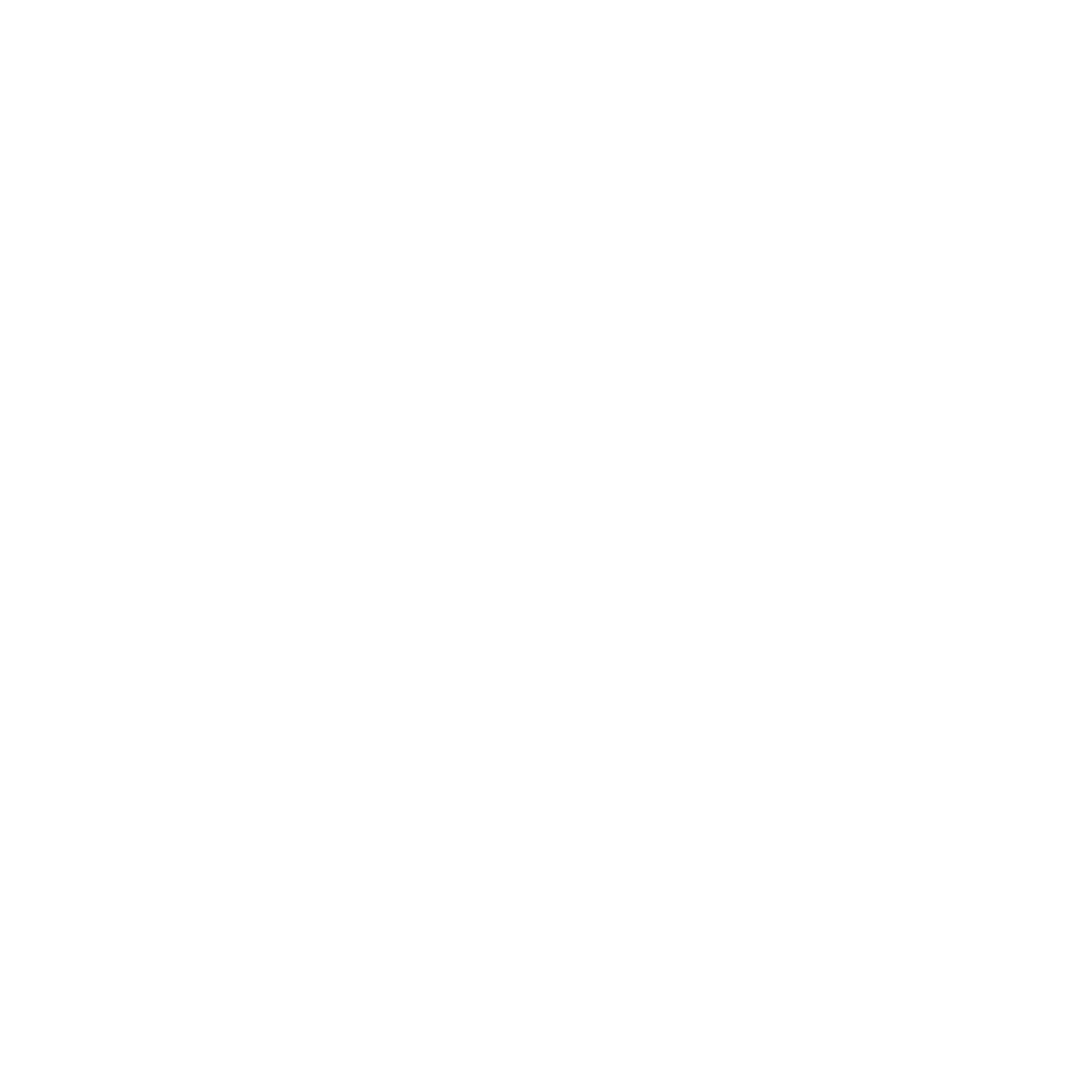 Riding.Vision