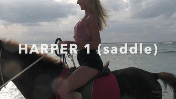 NEW 💯 November 2025! Harper 1 (saddle), 15min