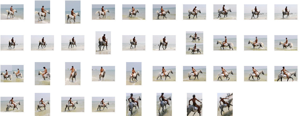 Leon in Brown Sprinter Shorts Riding with Saddle on White Arabian, Part 7 - Riding.Vision