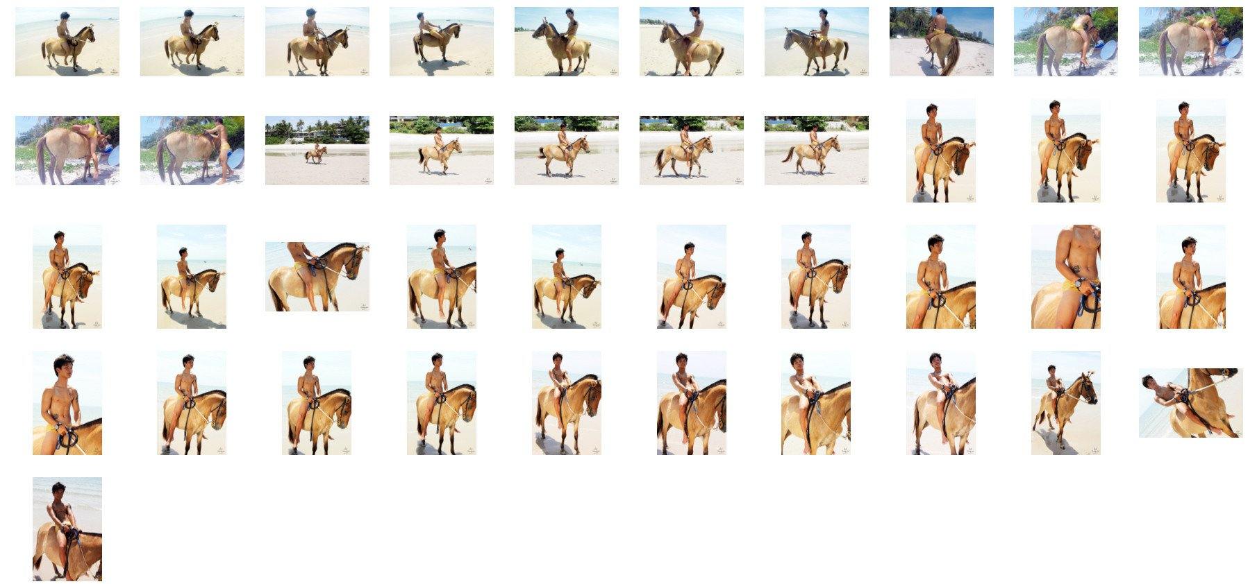 David in Golden Speedos Riding Bareback on Golden Pony, Part 1 - Riding.Vision