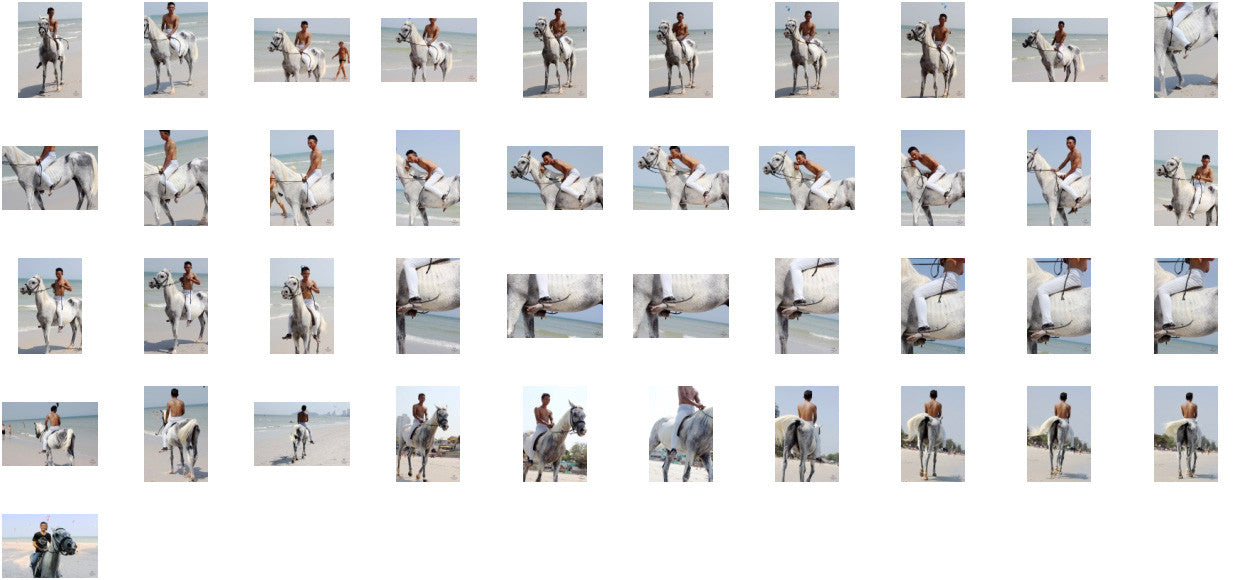 Kai in Jodhpurs Riding Bareback on White Arabian, Part 1 - Riding.Vision