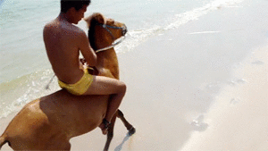 Leon and Boi in Golden Spandex Shorts Riding Bareback, 15min - Riding.Vision