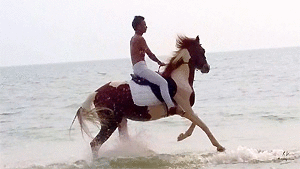 Kai Riding on Brown-White Horse, 20min - Riding.Vision