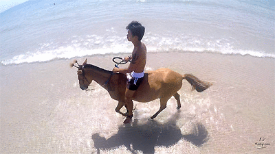 David in Thaibox / Golden Shorts Riding on Golden Pony (Season 3, Part 2), 10min - Riding.Vision