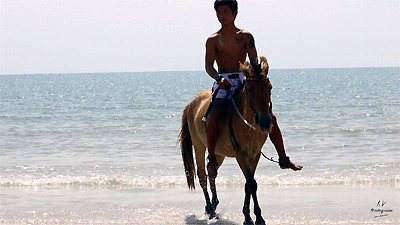🌶️ David, MORE Thaibox Riding on Golden Pony (Season 3, Part 4), 14min