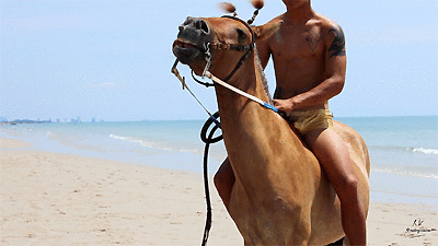 David, MORE Golden Lycra Riding on Golden Pony (Season 3, Part 5), 5min - Riding.Vision