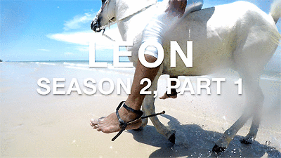 Leon in Leggings Riding Bareback on White Pony (4K), 10min - Riding.Vision