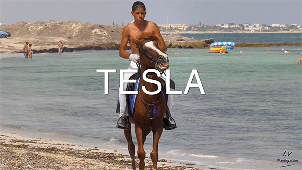 🌶️ Tesla Rides on Saddle Gangsta Style Plus (4K), 12min