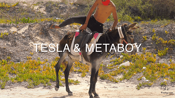 🌶️ Tesla and Metaboy Ride on Donkey and Horse (4K), 19min