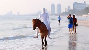 White and Blue Zentais Riding on Golden Pony, 5min - Riding.Vision