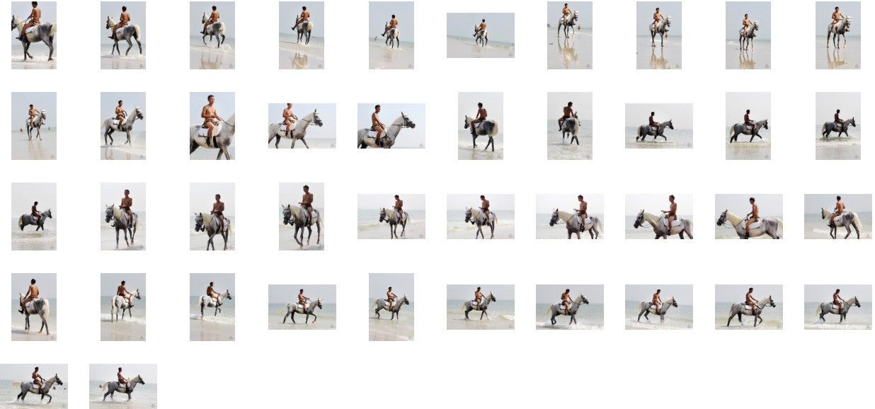 Kai in Brown Sprinter Shorts Riding with Saddle on White Arabian, Part 3 - Riding.Vision