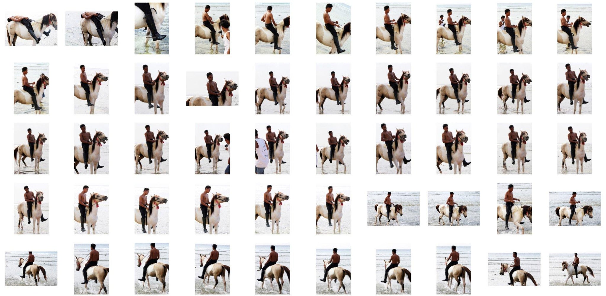 Emas in Jodhpurs and Ridingboots Riding Bareback on Buckskin Horse, Part 3 - Riding.Vision
