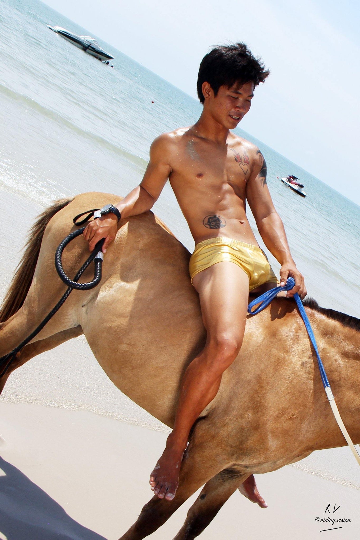 Free Sample Gallery: David in Golden Speedos Riding Bareback on Golden Pony, Part 2 - Riding.Vision
