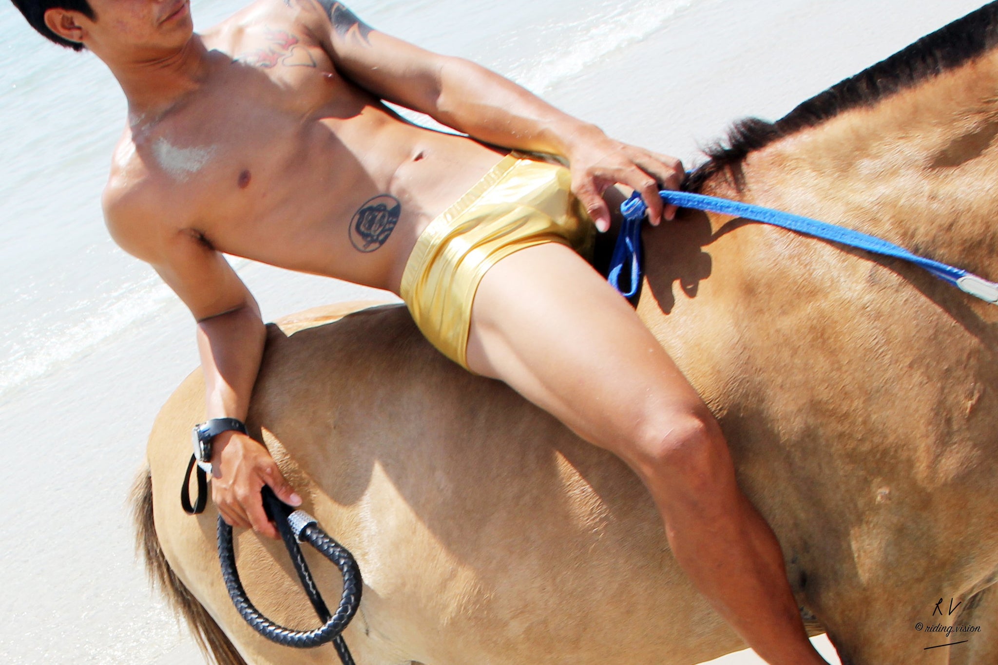 Free Sample Gallery: David in Golden Speedos Riding Bareback on Golden Pony, Part 2 - Riding.Vision