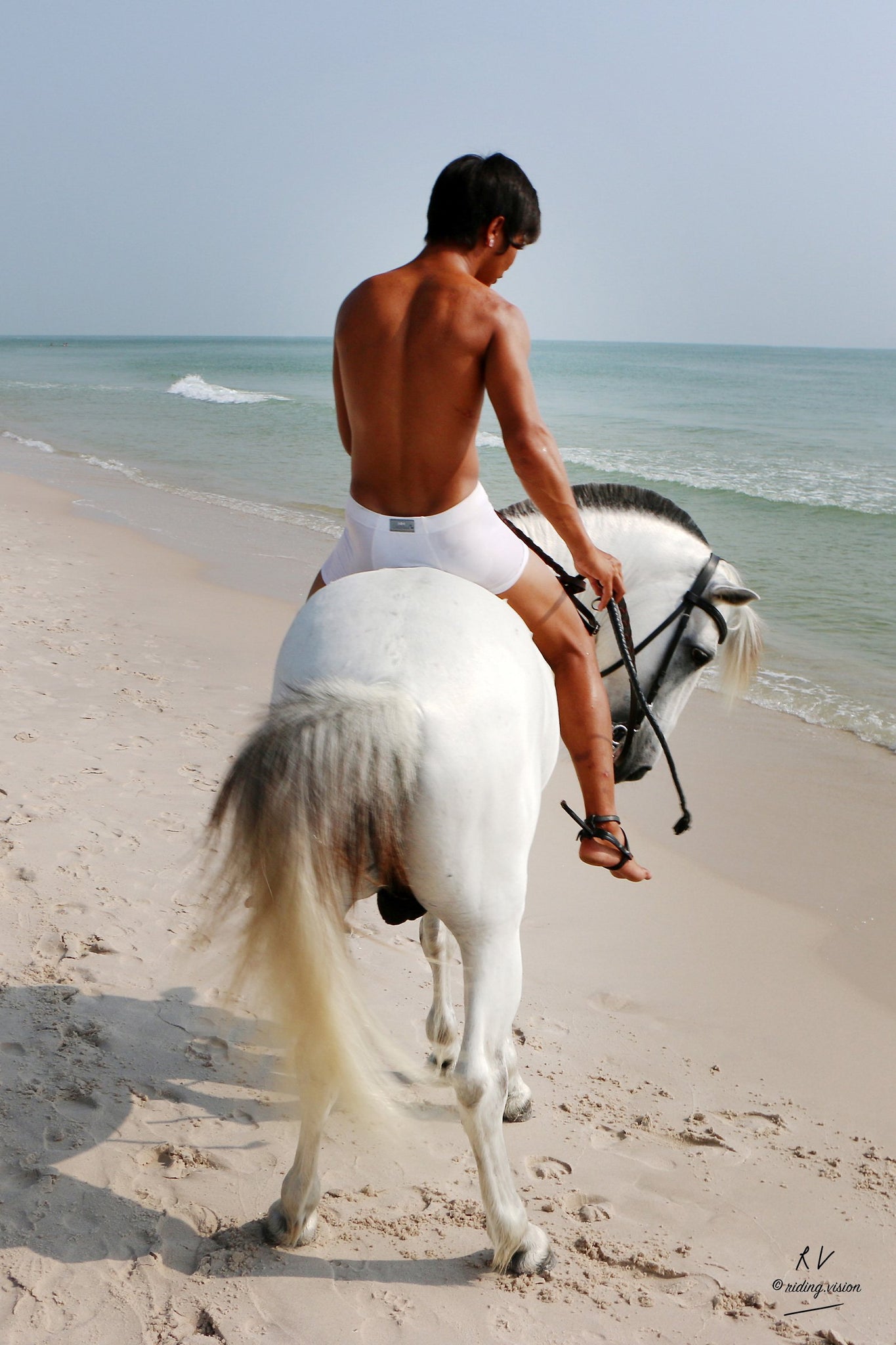 Free Sample Gallery: David in White Spandex Shorts Riding Bareback on White Pony, Part 6 - Riding.Vision
