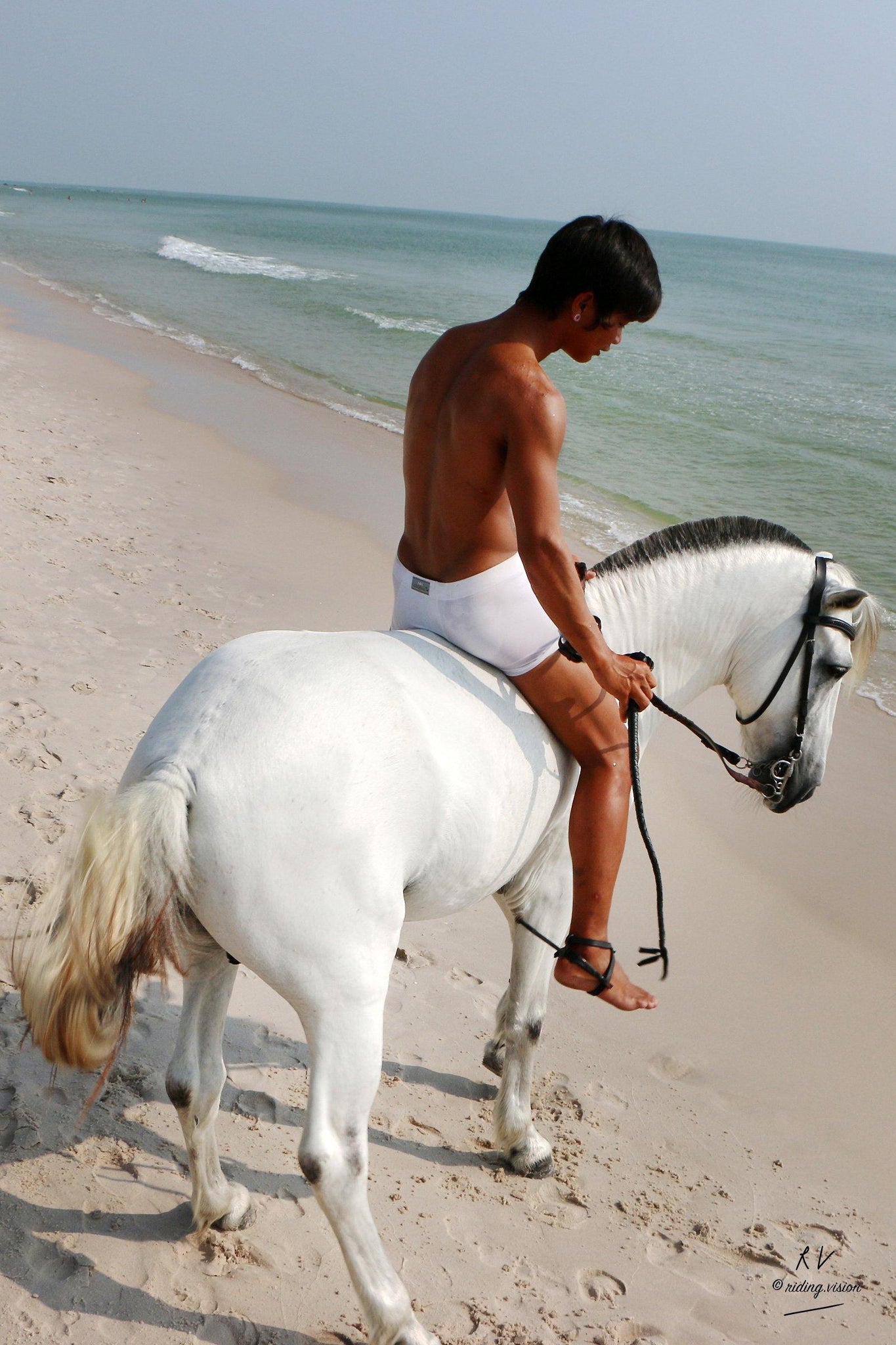 Free Sample Gallery: David in White Spandex Shorts Riding Bareback on White Pony, Part 6 - Riding.Vision
